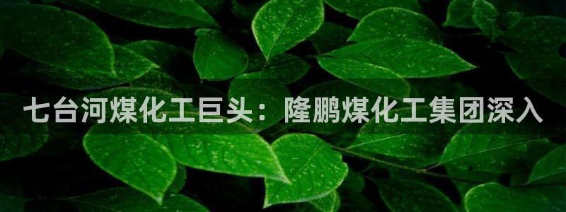 球盟会电子好下吗