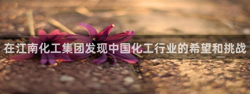 球盟会qmh官网