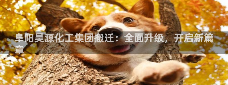 球盟会可以提现么