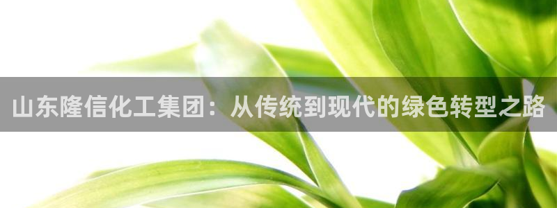 球盟会官方客服