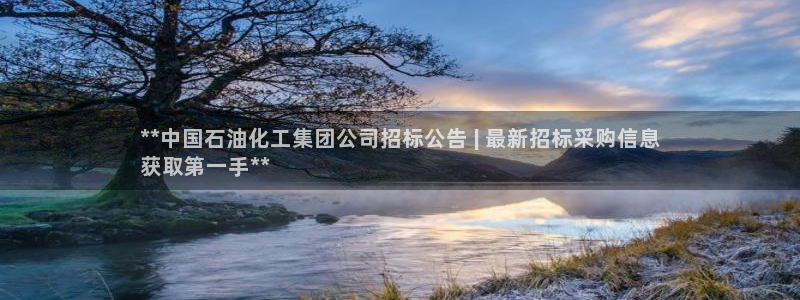 球盟会网址