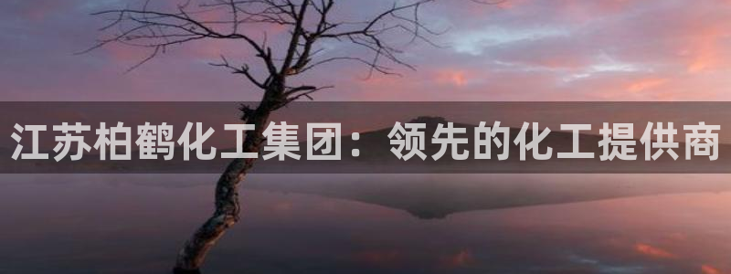 球盟会qm8597