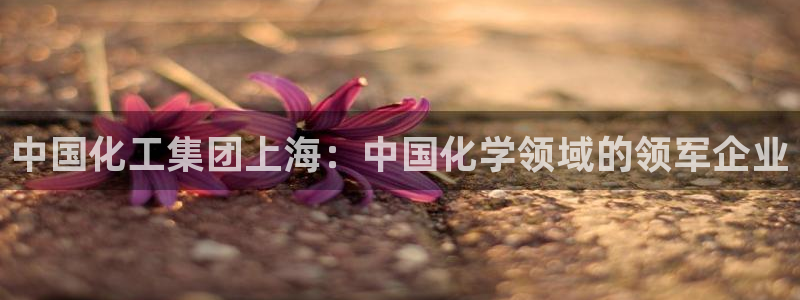 球盟会官方