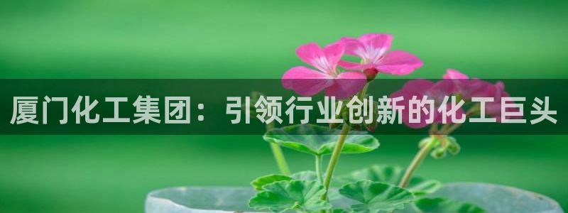 球盟会在线登录