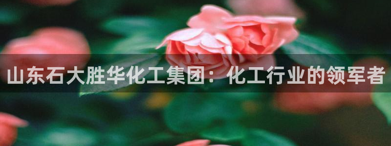 球盟会app最新地址在哪看