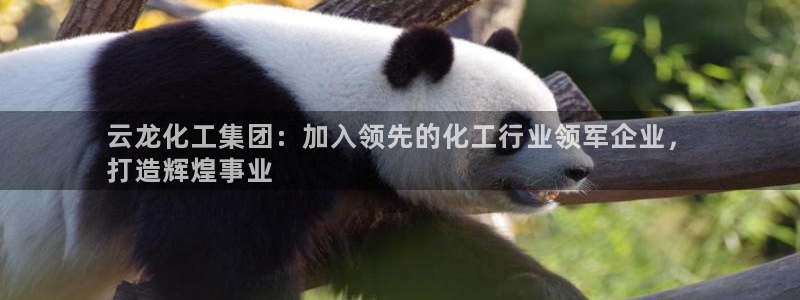 球盟会能退钱吗