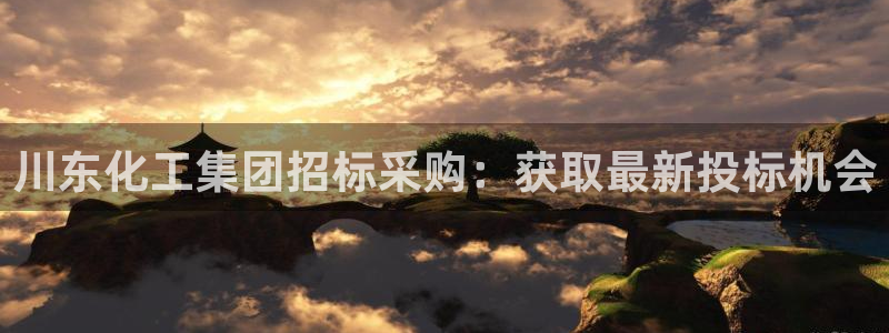 球盟会进不去