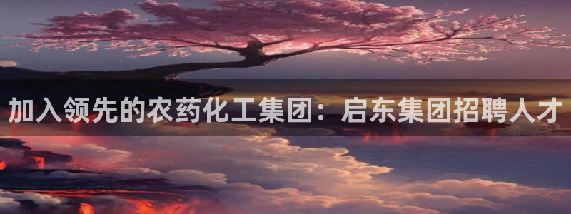 球盟会电子