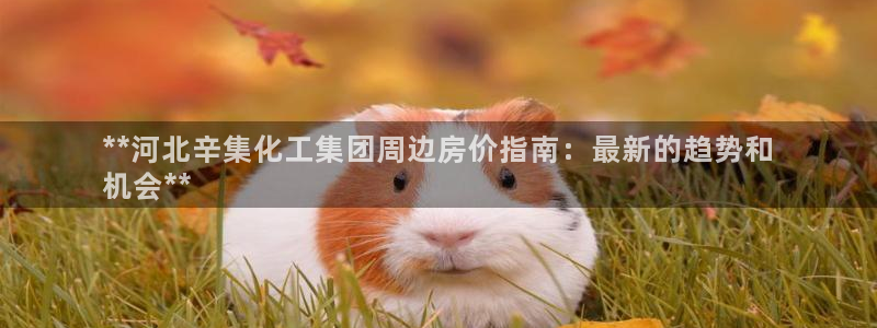 球盟会官方