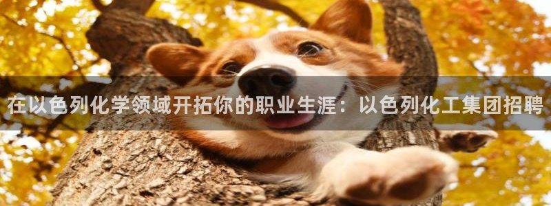 球盟会可以提现么现在