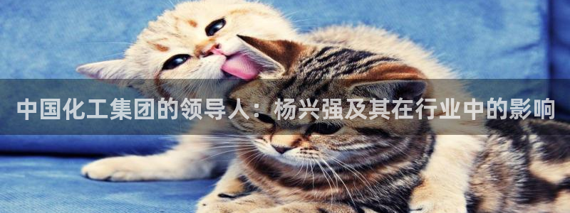 球盟会有没有黑单的球员