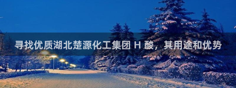 球盟会app网址多少号：寻找优质湖北楚源化工集团 H 酸，其
