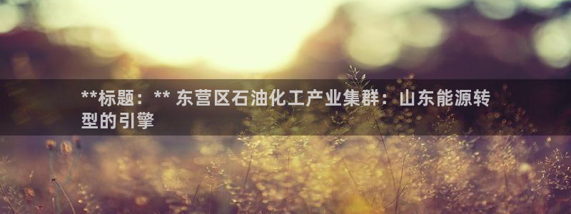 球盟会官方入口：**标题：** 东营区石油化工产业集群：山东
