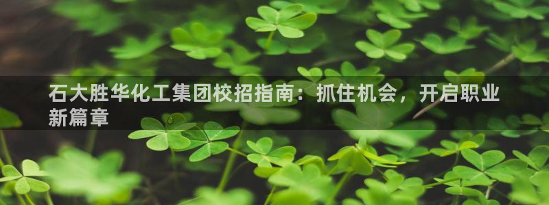 球盟会官方最新入口：石大胜华化工集团校招指南：抓住机会，开启