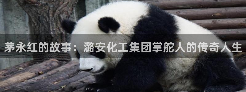 球盟会可靠不：茅永红的故事：潞安化工集团掌舵人的传奇人生
