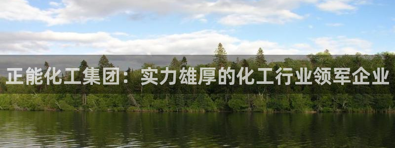 球盟会app最新地址在哪看：正能化工集团：实力雄厚的化工行业