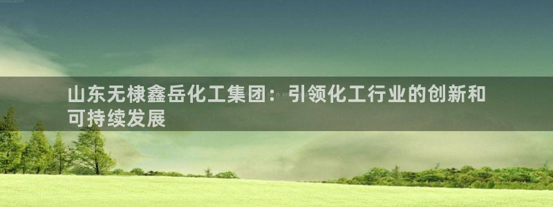 球盟会有限公司怎么样：山东无棣鑫岳化工集团：引领化工行业的创
