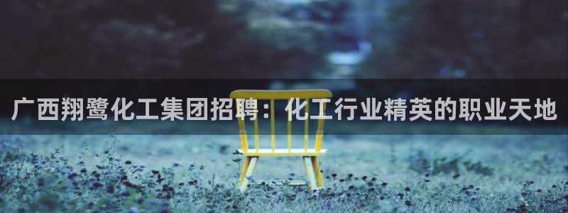 球盟会黑平台：广西翔鹭化工集团招聘：化工行业精英的职业天地