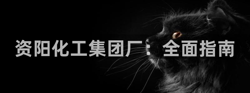 球盟会登录网址：资阳化工集团厂：全面指南