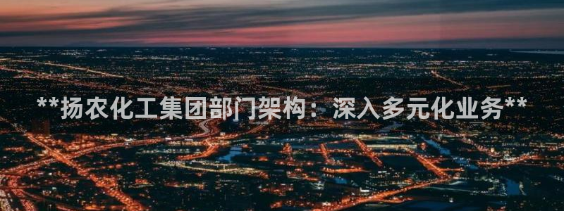球盟会可以提现么是真的吗：**扬农化工集团部门架构：深入多元