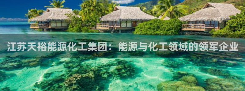 球盟会黑：江苏天裕能源化工集团：能源与化工领域的领军企业