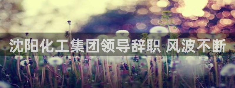 球盟会app最新地址在哪看：沈阳化工集团领导辞职 风波不断