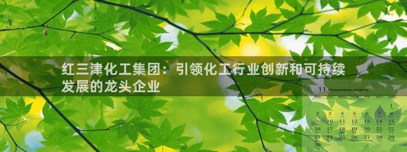 球盟会体育平台：红三津化工集团：引领化工行业创新和可持续
发
