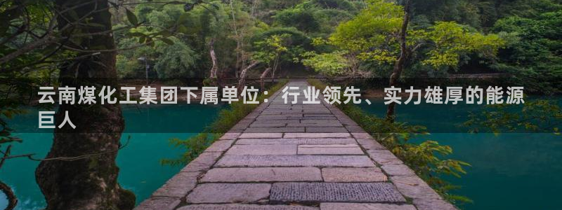 球盟会下款快吗：云南煤化工集团下属单位：行业领先、实力雄厚的