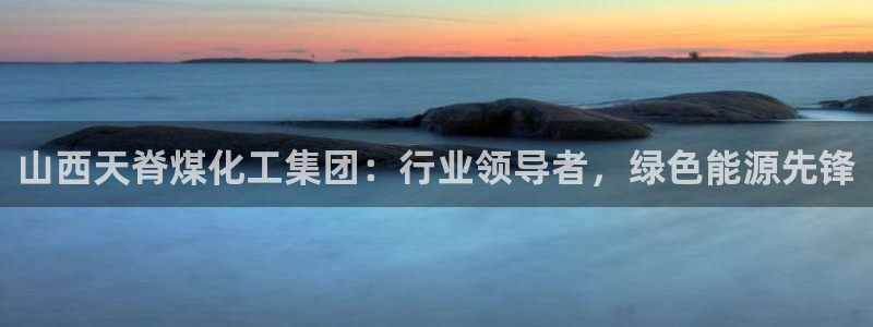 球盟会下载最新版：山西天脊煤化工集团：行业领导者，绿色能源先
