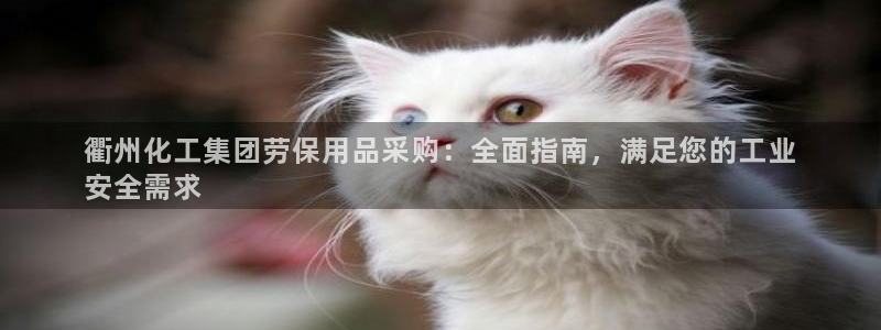 球盟会APP最新地址：衢州化工集团劳保用品采购：全面指南，满