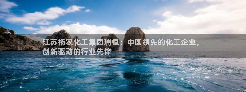 球盟会中国网页登录：江苏扬农化工集团瑞恒：中国领先的化工企业