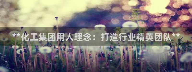 球盟会能提现吗：**化工集团用人理念：打造行业精英团队**
