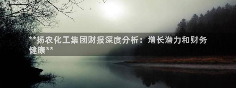 球盟会qmh电子网页版登录：**扬农化工集团财报深度分析：增