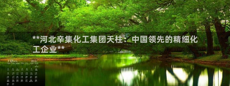 球盟会在线登录：**河北辛集化工集团天柱：中国领先的精细化
