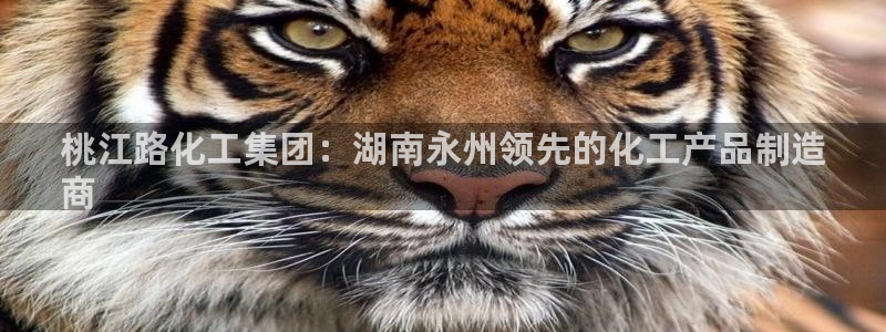 球盟会黑款吗还是白款：桃江路化工集团：湖南永州领先的化工产品