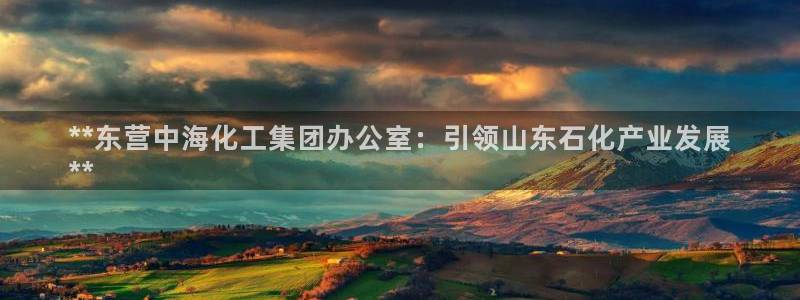 球盟会网页登录app下载地址：**东营中海化工集团办公室：引