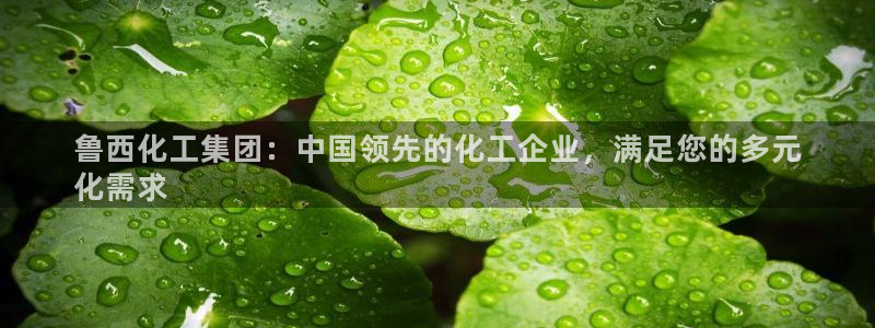 球盟会app：鲁西化工集团：中国领先的化工企业，满足您的多元