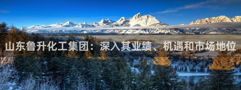 球盟会能提现吗安全吗：山东鲁升化工集团：深入其业绩、机遇和市