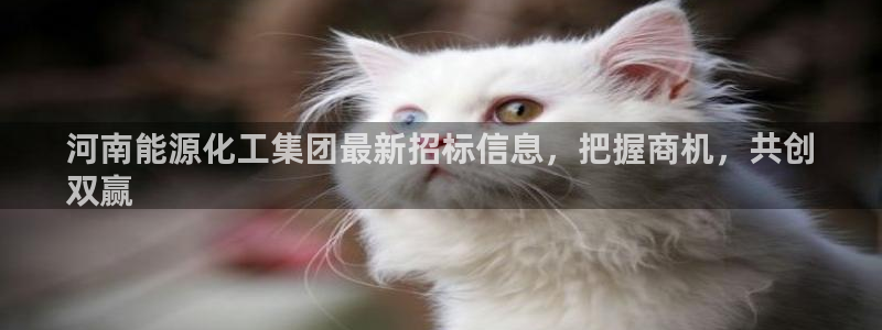 球盟会黑款吗知乎文章：河南能源化工集团最新招标信息，把握商机