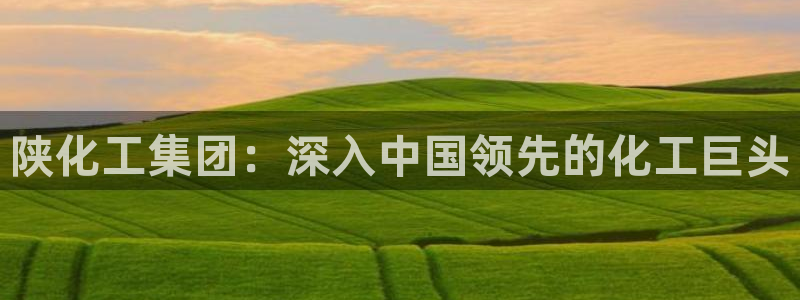 球盟会优惠券：陕化工集团：深入中国领先的化工巨头