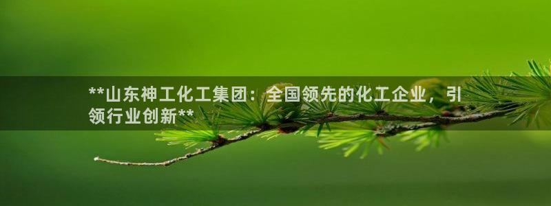 球盟会在线登录：**山东神工化工集团：全国领先的化工企业，引