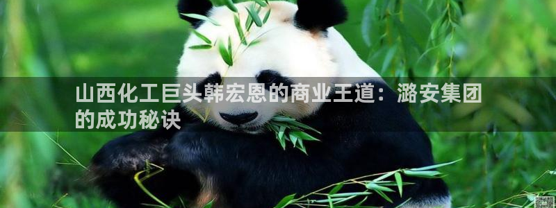 球盟会体育平台：山西化工巨头韩宏恩的商业王道：潞安集团
的成