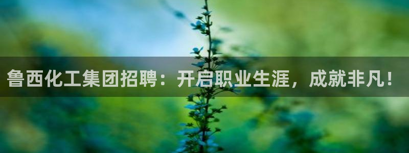 球盟会qmh官网：鲁西化工集团招聘：开启职业生涯，成就非凡！