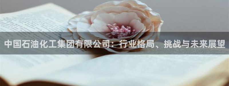 球盟会中国网页登录：中国石油化工集团有限公司：行业格局、挑战