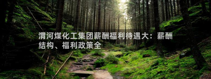 球盟会在线登录：渭河煤化工集团薪酬福利待遇大：薪酬
结构、福