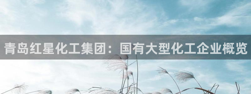 球盟会在线登录官网：青岛红星化工集团：国有大型化工企业概览