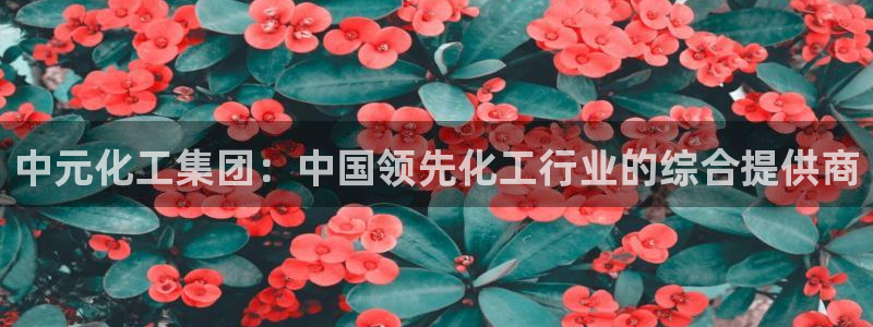 球盟会app最新地址在哪找
