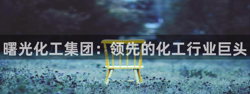 球盟会国际官网