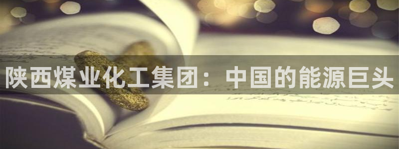 球盟会论坛：陕西煤业化工集团：中国的能源巨头
