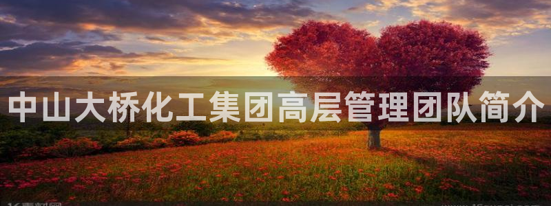 球盟会网页版登陆：中山大桥化工集团高层管理团队简介